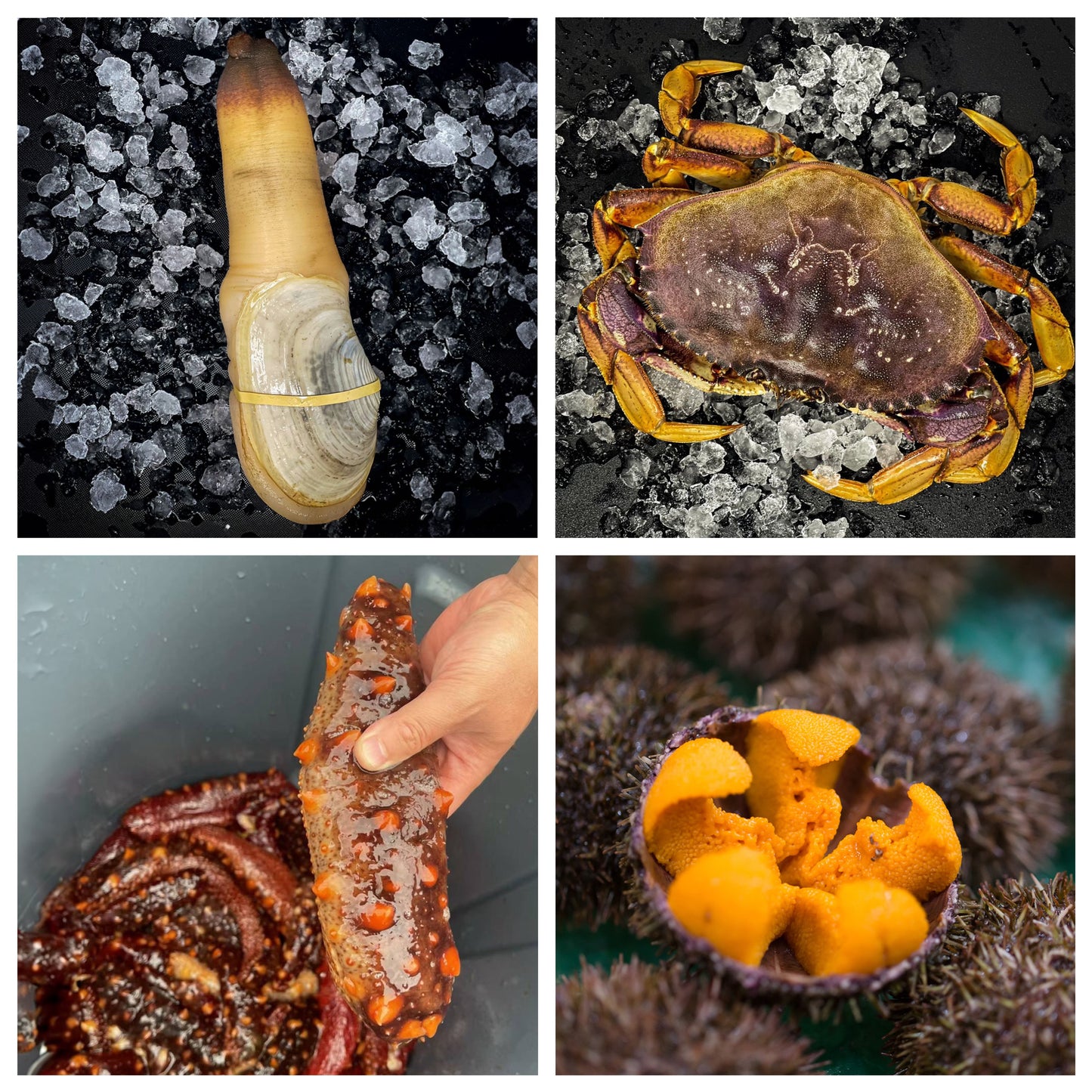 Grayzone Seafood