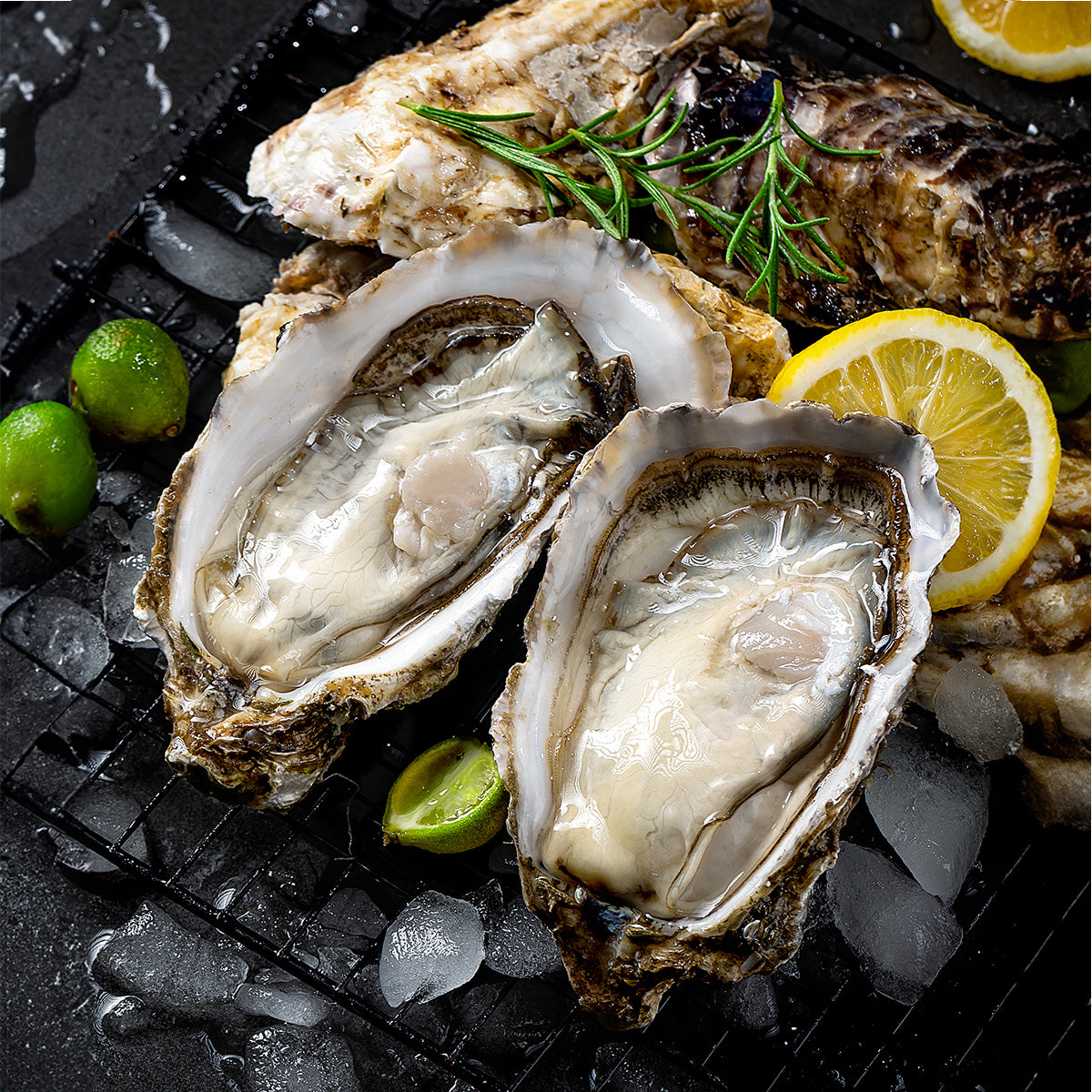 Oyster on grill with ice lime lemon tasty fresh oysters